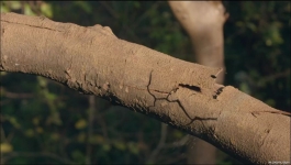 Imlie - 13th February 2024